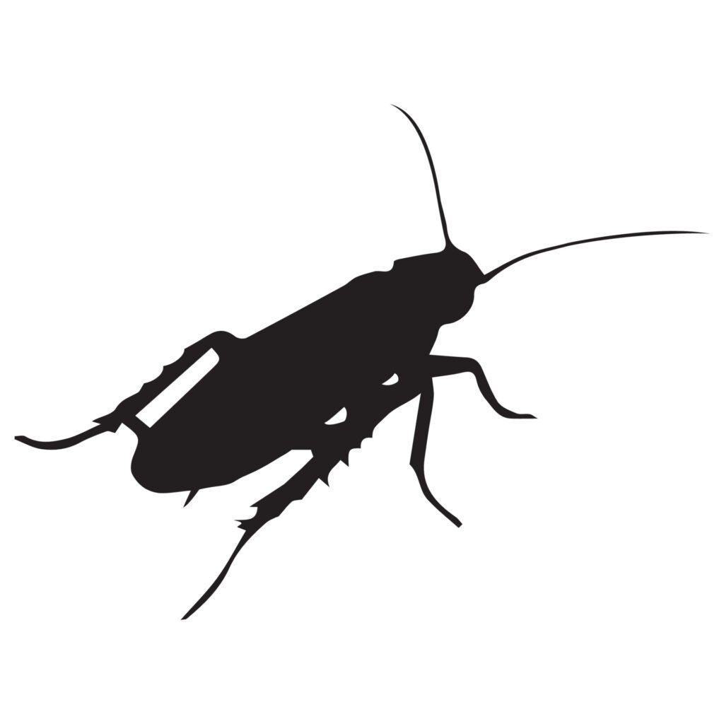 vecteezy_cockroach-silhouette-art_7163452