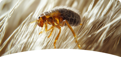 Flea & Tick <span> Control</span>