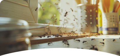 General Pest <span> Control </span>