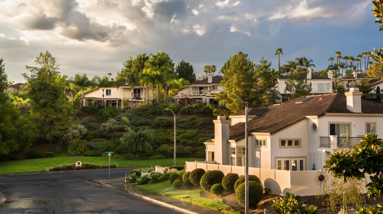 Why Are Bugs So Bad This Year in Temecula?