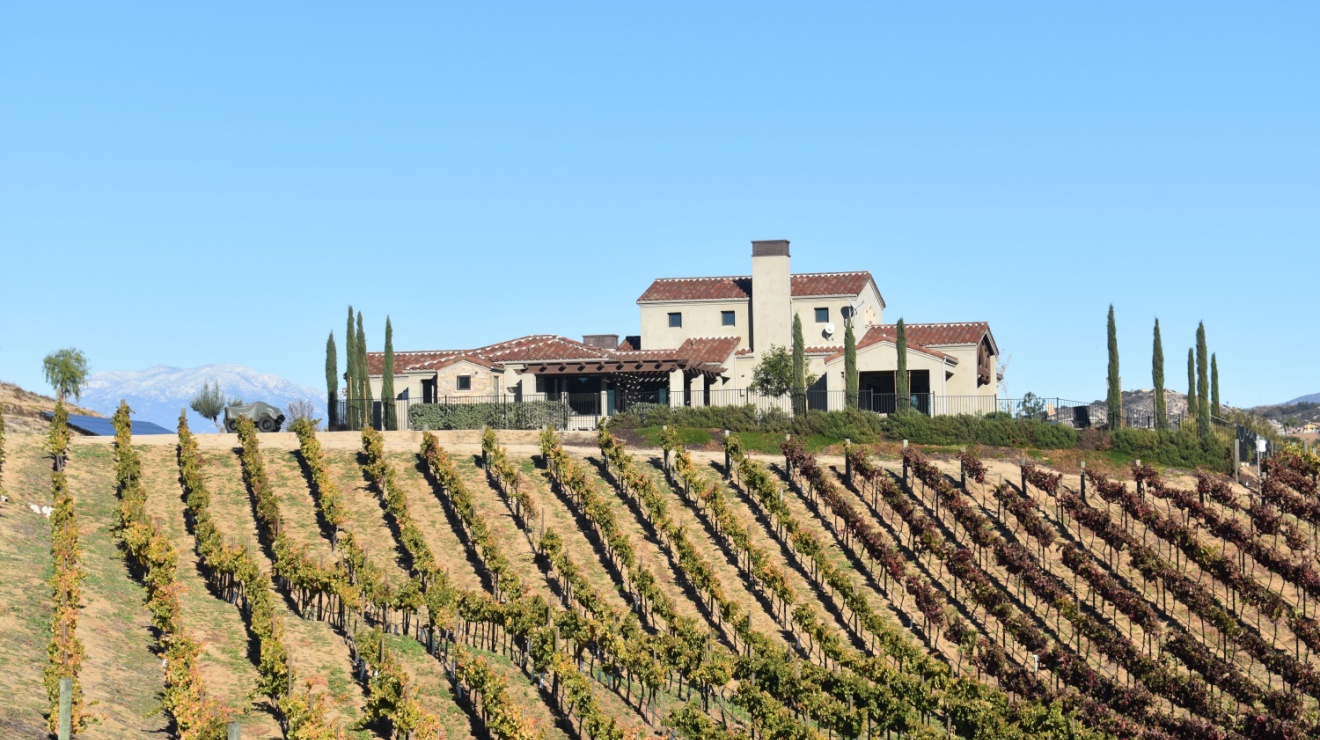 The Hidden Pest Problems of Living Near Temecula’s Vineyards