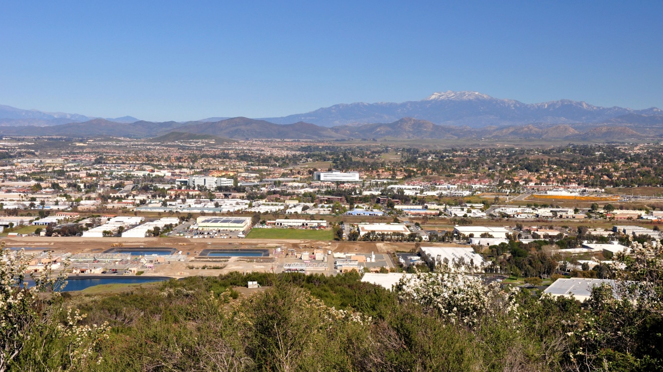 Bug Freedom Pest Control: The #1 Exterminator in Temecula